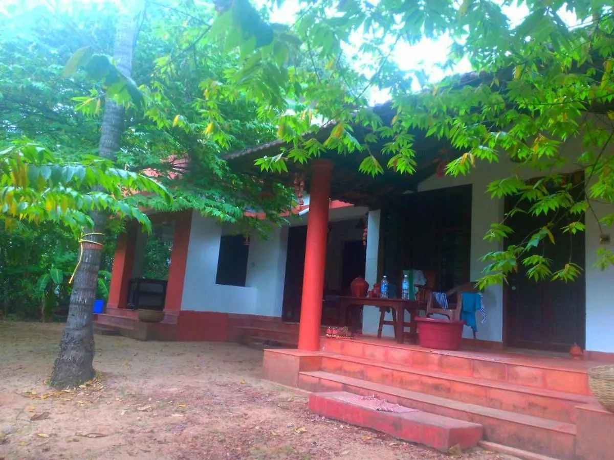 Oda ve Kahvaltı Bodhi Beach House Hindistan